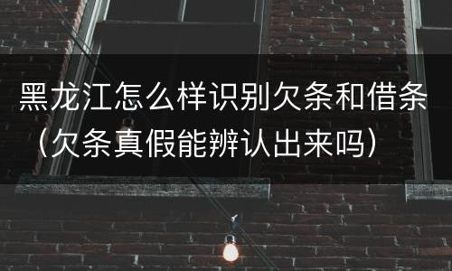 黑龙江怎么样识别欠条和借条（欠条真假能辨认出来吗）
