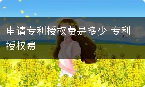 申请专利授权费是多少 专利 授权费