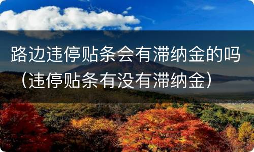 路边违停贴条会有滞纳金的吗（违停贴条有没有滞纳金）
