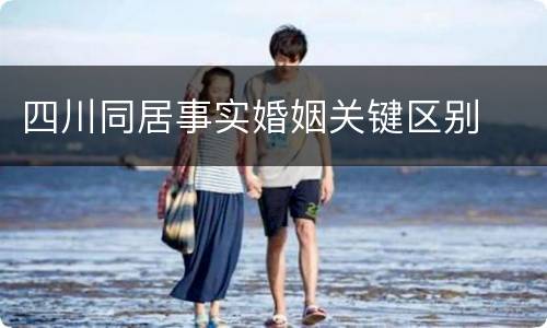 四川同居事实婚姻关键区别