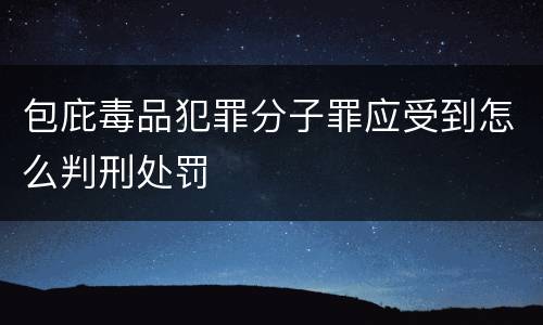 包庇毒品犯罪分子罪应受到怎么判刑处罚