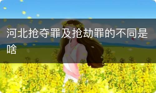 河北抢夺罪及抢劫罪的不同是啥