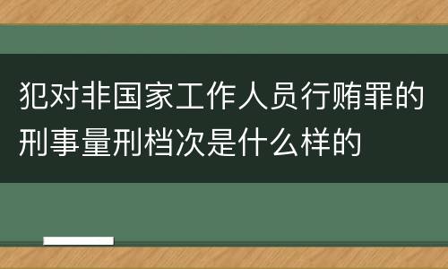 犯对非国家工作人员行贿罪的刑事量刑档次是什么样的