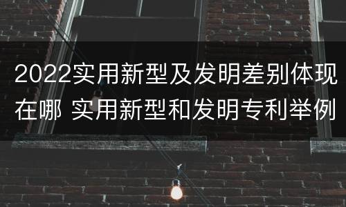 2022实用新型及发明差别体现在哪 实用新型和发明专利举例