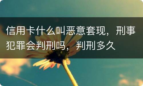 信用卡什么叫恶意套现，刑事犯罪会判刑吗，判刑多久
