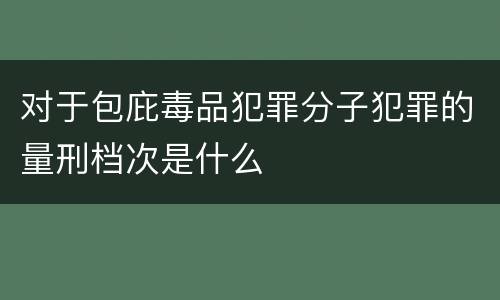 对于包庇毒品犯罪分子犯罪的量刑档次是什么