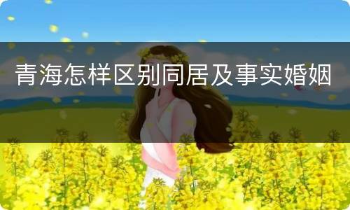 青海怎样区别同居及事实婚姻