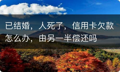 已结婚，人死了，信用卡欠款怎么办，由另一半偿还吗