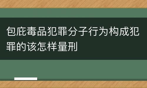 包庇毒品犯罪分子行为构成犯罪的该怎样量刑