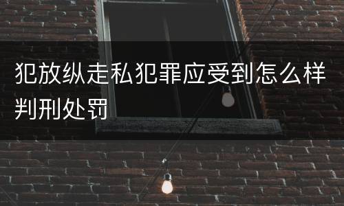 犯放纵走私犯罪应受到怎么样判刑处罚