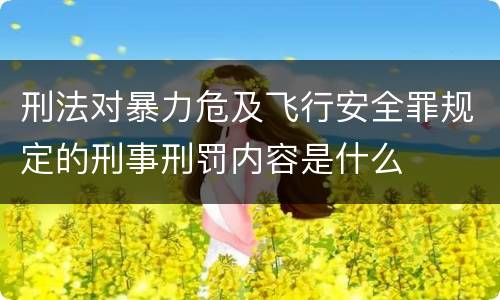 刑法对暴力危及飞行安全罪规定的刑事刑罚内容是什么