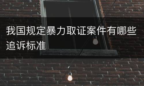 我国规定暴力取证案件有哪些追诉标准