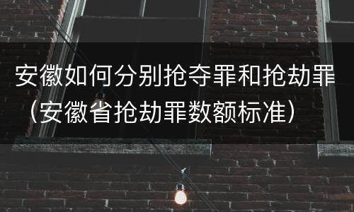 安徽如何分别抢夺罪和抢劫罪（安徽省抢劫罪数额标准）