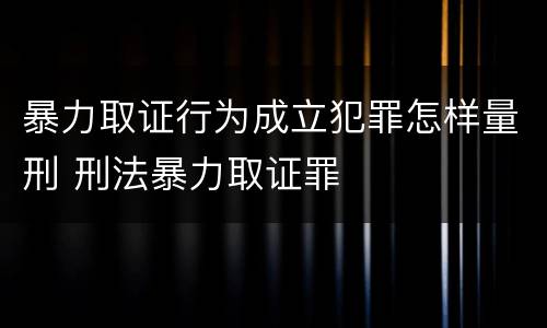 暴力取证行为成立犯罪怎样量刑 刑法暴力取证罪