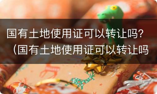 国有土地使用证可以转让吗？（国有土地使用证可以转让吗现在）