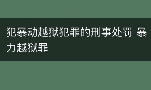 犯暴动越狱犯罪的刑事处罚 暴力越狱罪