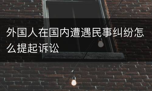外国人在国内遭遇民事纠纷怎么提起诉讼