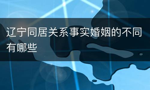 辽宁同居关系事实婚姻的不同有哪些