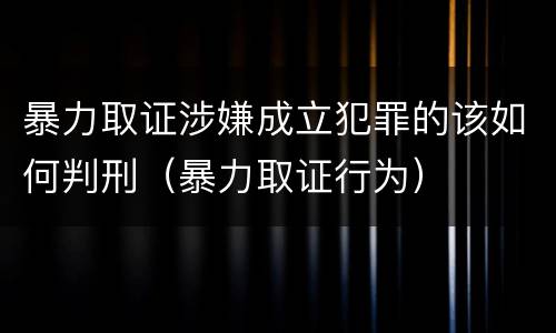 暴力取证涉嫌成立犯罪的该如何判刑（暴力取证行为）