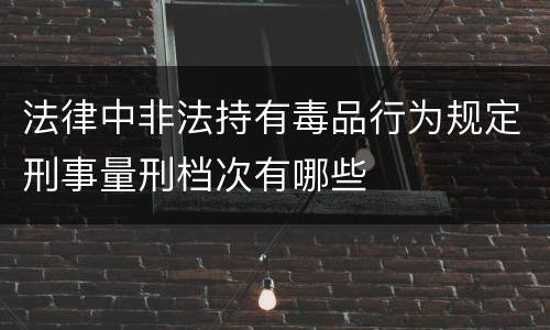 法律中非法持有毒品行为规定刑事量刑档次有哪些