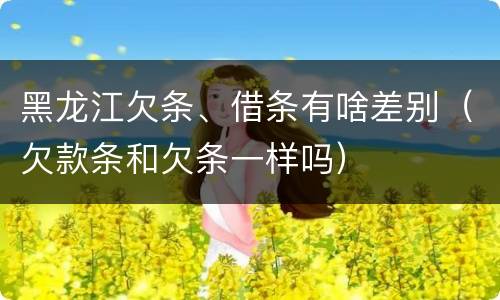 黑龙江欠条、借条有啥差别（欠款条和欠条一样吗）