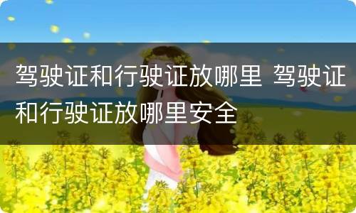 驾驶证和行驶证放哪里 驾驶证和行驶证放哪里安全