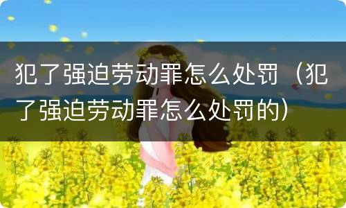 犯了强迫劳动罪怎么处罚（犯了强迫劳动罪怎么处罚的）