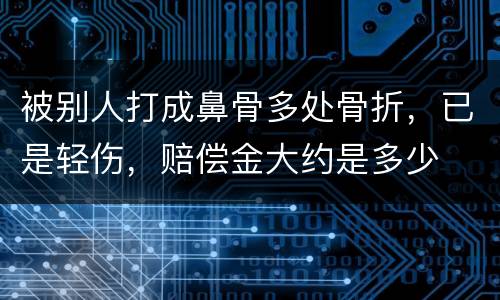 被别人打成鼻骨多处骨折，已是轻伤，赔偿金大约是多少