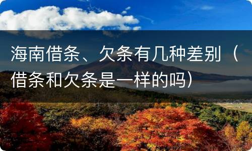 海南借条、欠条有几种差别（借条和欠条是一样的吗）