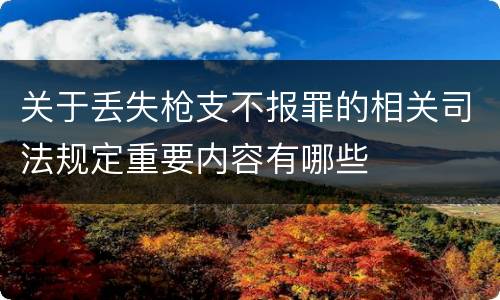 关于丢失枪支不报罪的相关司法规定重要内容有哪些