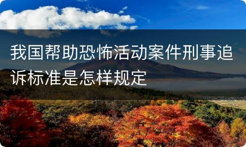 我国帮助恐怖活动案件刑事追诉标准是怎样规定