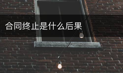 合同终止是什么后果