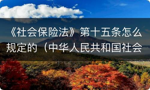 《社会保险法》第十五条怎么规定的（中华人民共和国社会保险法第十五条）