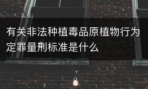 有关非法种植毒品原植物行为定罪量刑标准是什么
