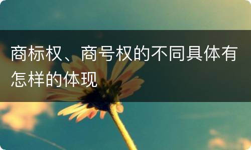 商标权、商号权的不同具体有怎样的体现