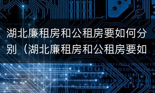 湖北廉租房和公租房要如何分别（湖北廉租房和公租房要如何分别出租）