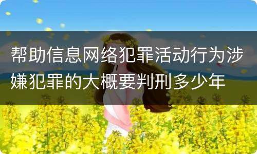 帮助信息网络犯罪活动行为涉嫌犯罪的大概要判刑多少年