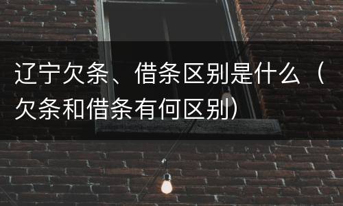 辽宁欠条、借条区别是什么（欠条和借条有何区别）
