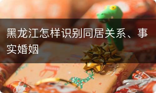 黑龙江怎样识别同居关系、事实婚姻