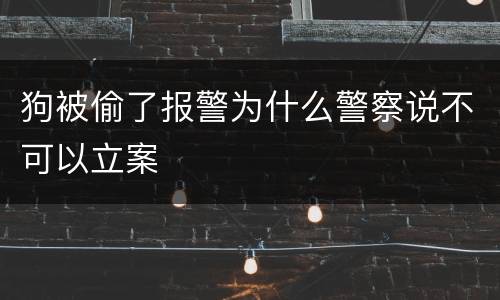 狗被偷了报警为什么警察说不可以立案