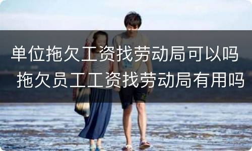 单位拖欠工资找劳动局可以吗 拖欠员工工资找劳动局有用吗