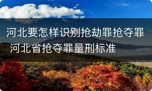 河北要怎样识别抢劫罪抢夺罪 河北省抢夺罪量刑标准
