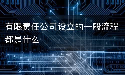 有限责任公司设立的一般流程都是什么