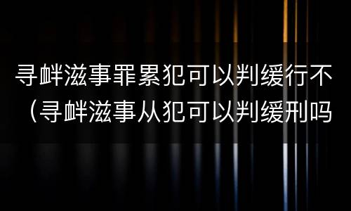 寻衅滋事罪累犯可以判缓行不（寻衅滋事从犯可以判缓刑吗）