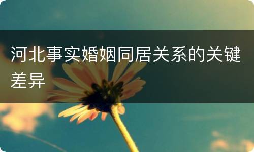 河北事实婚姻同居关系的关键差异