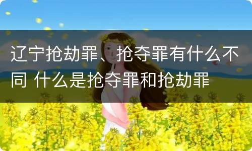 辽宁抢劫罪、抢夺罪有什么不同 什么是抢夺罪和抢劫罪