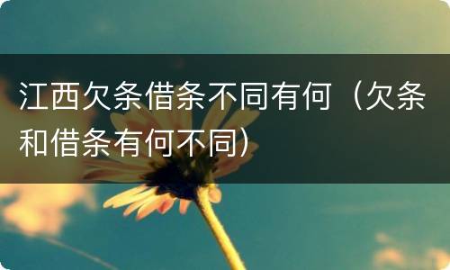 江西欠条借条不同有何（欠条和借条有何不同）