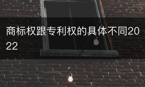 商标权跟专利权的具体不同2022