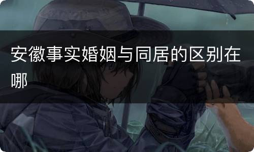 安徽事实婚姻与同居的区别在哪