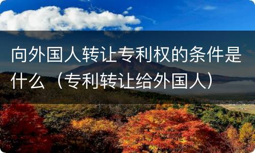 向外国人转让专利权的条件是什么（专利转让给外国人）